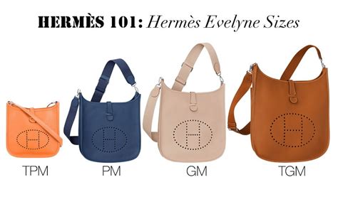 hermes evelyne colors 2014|hermes evelyne sizes and prices.